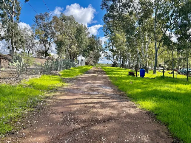 a view of a park with large trees