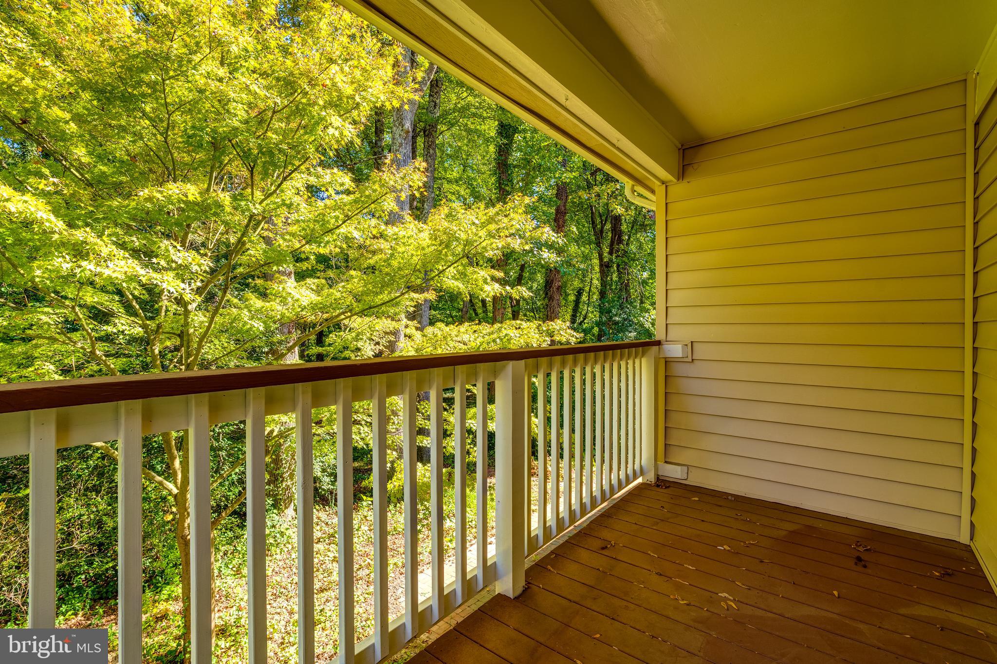 8817 Gateshead Road Alexandria, VA 22309 - Photo 39 of 78