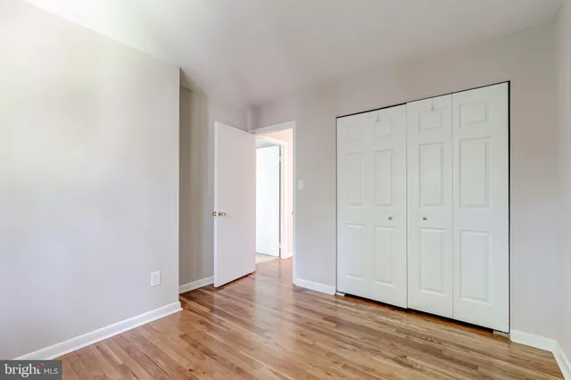 a view of a yard with plants and large trees