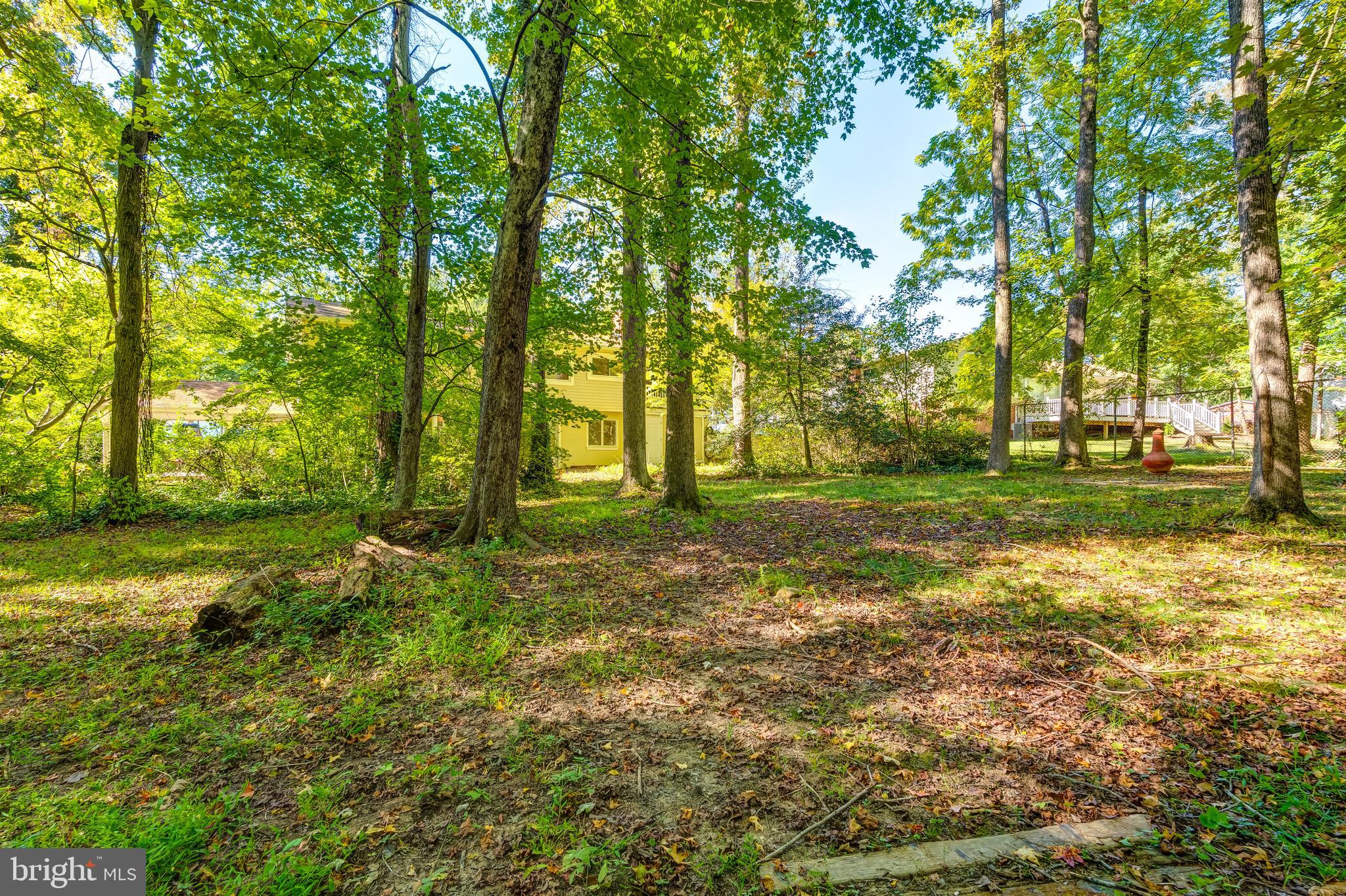 8817 Gateshead Road Alexandria, VA 22309 - Photo 69 of 78 a view of outdoor space with trees all around