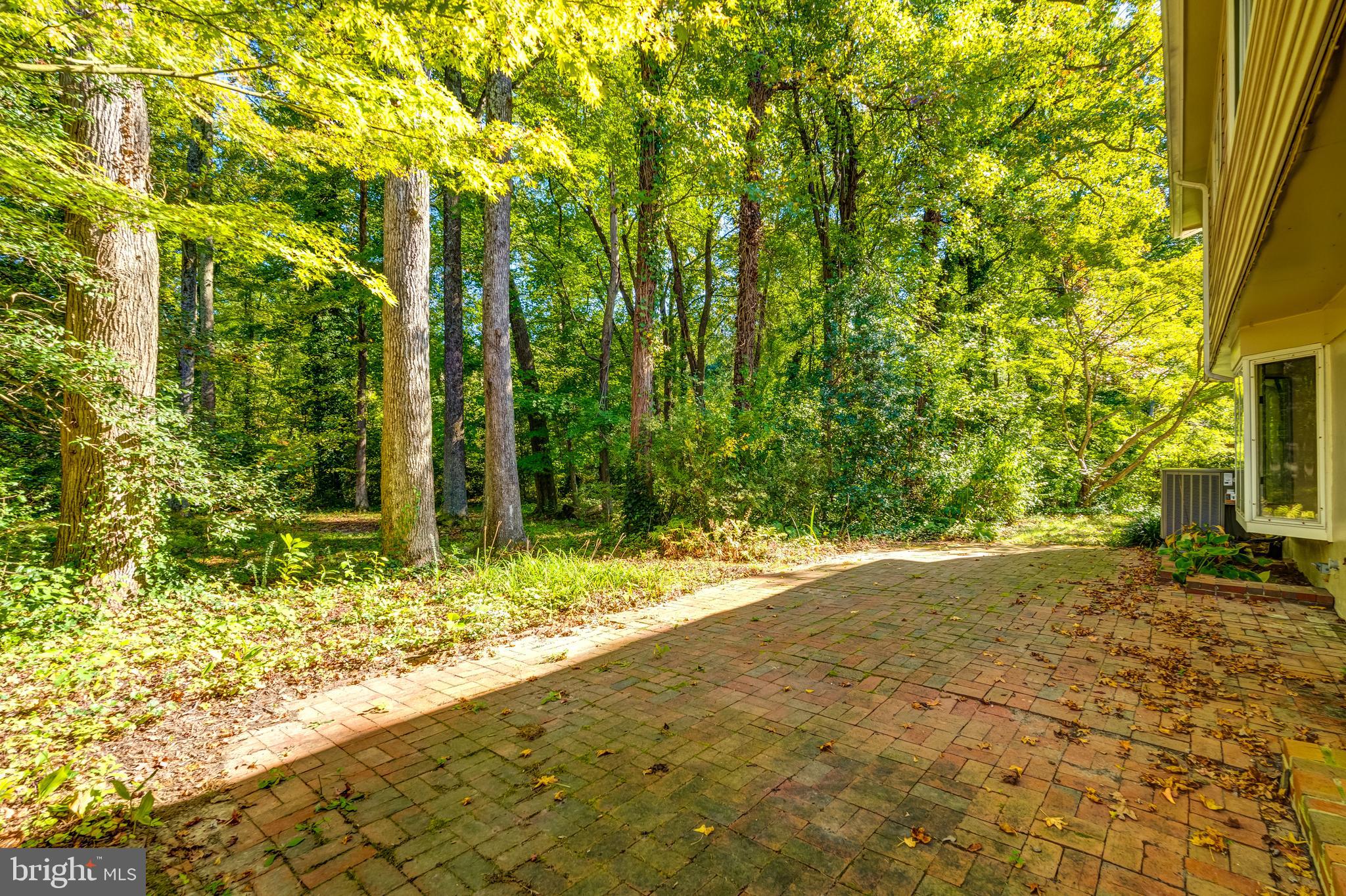 8817 Gateshead Road Alexandria, VA 22309 - Photo 71 of 78 a view of a yard with plants and large trees
