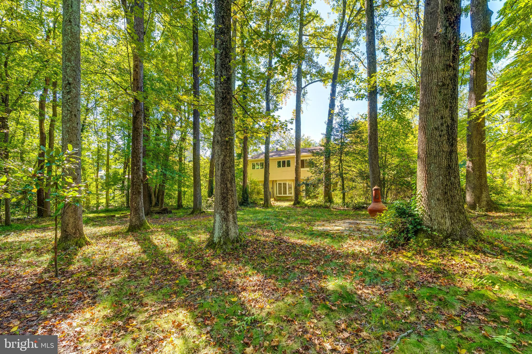 8817 Gateshead Road Alexandria, VA 22309 - Photo 73 of 78 a view of yard
