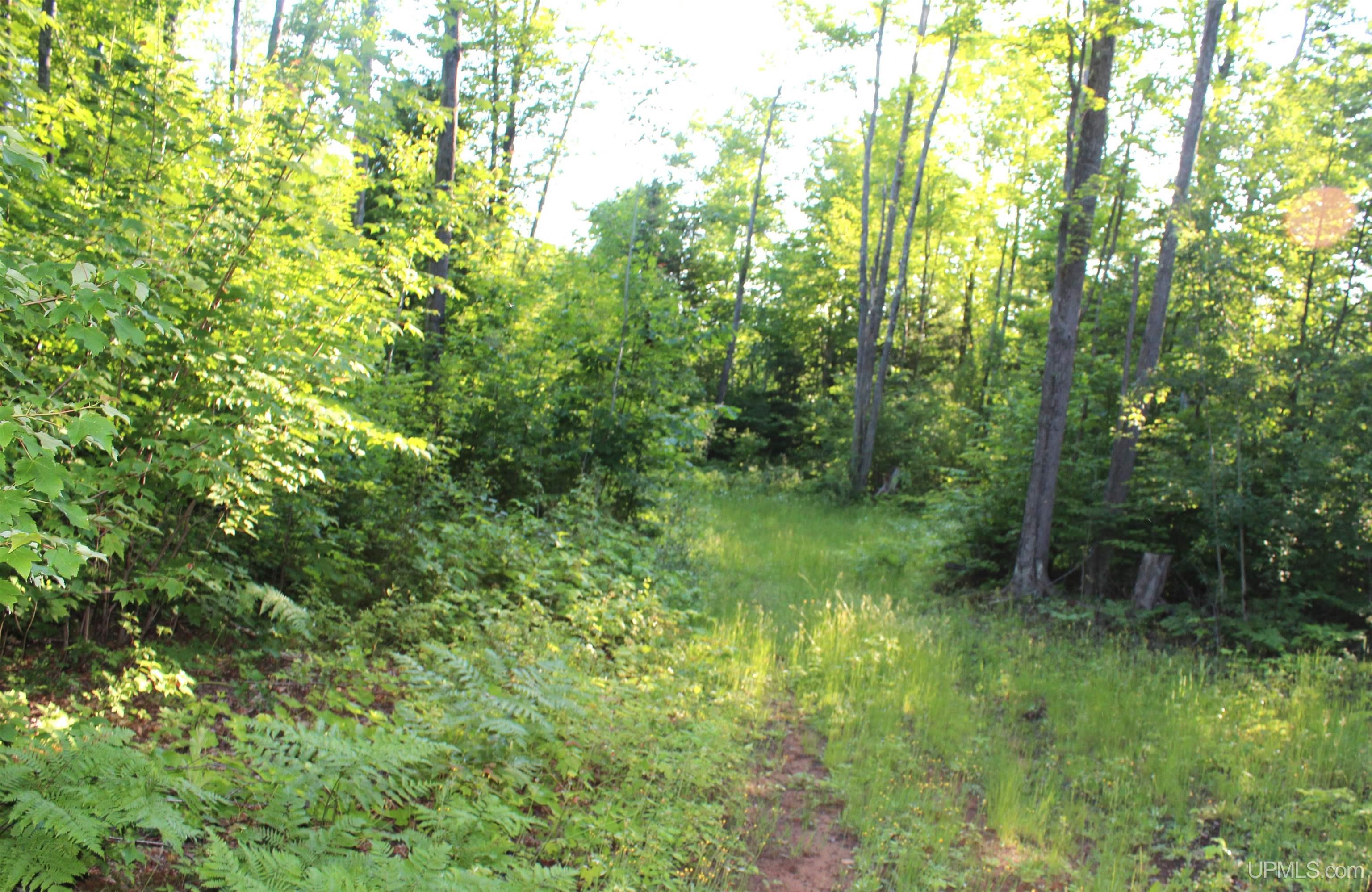 On Alder Cr Road Marquette, MI 49855 - Photo 10 of 20