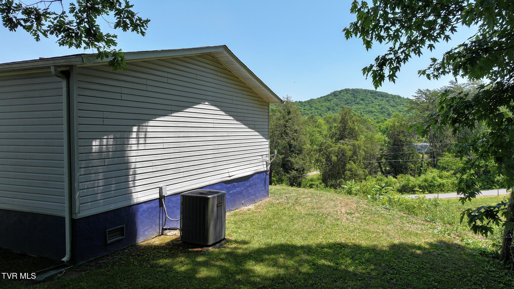 1475 Davis Valley Road Afton, TN 37616 - Photo 43 of 67 43