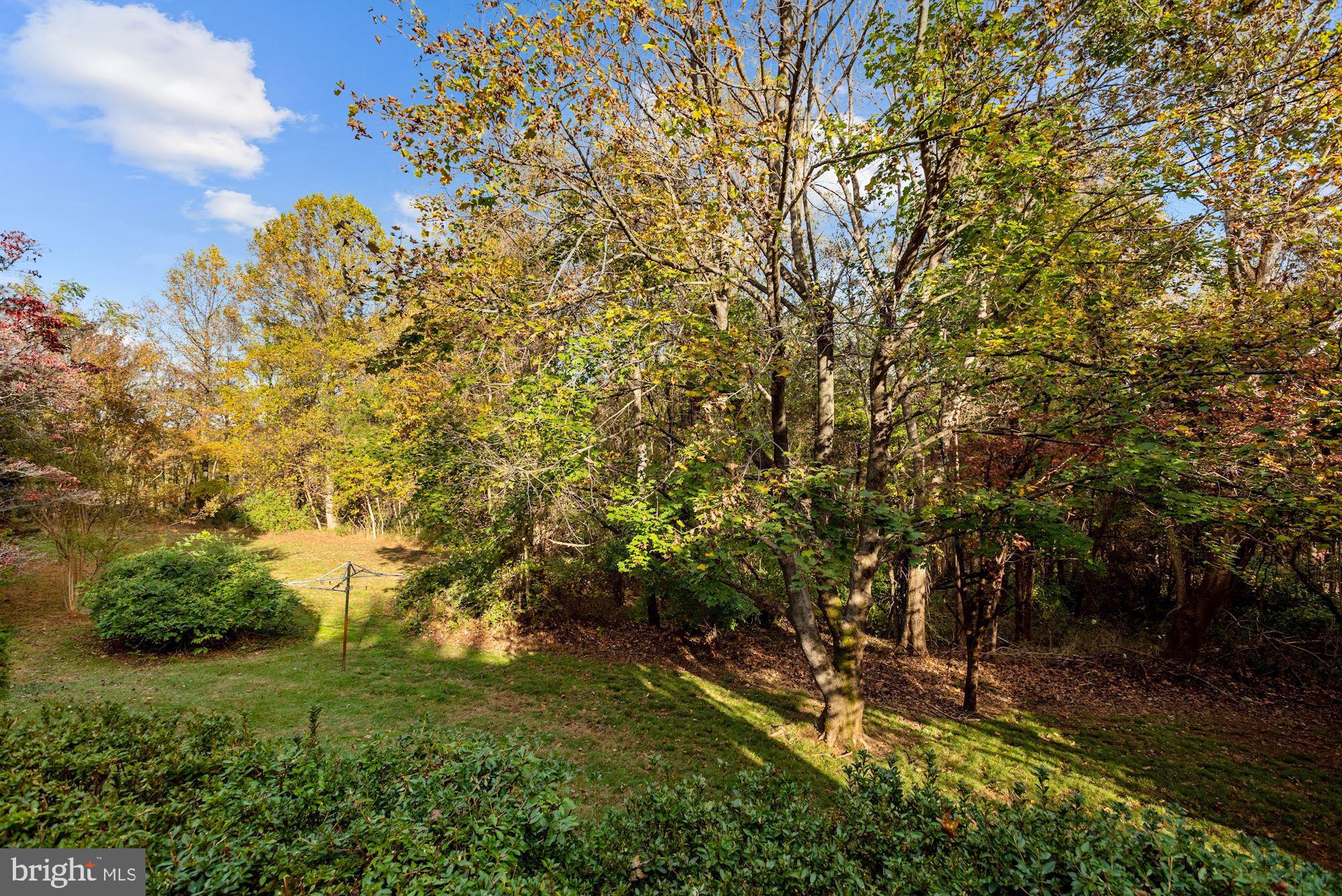 5753 Georgetown Road Broad Run, VA 20137 - Photo 44 of 53 Private backyard