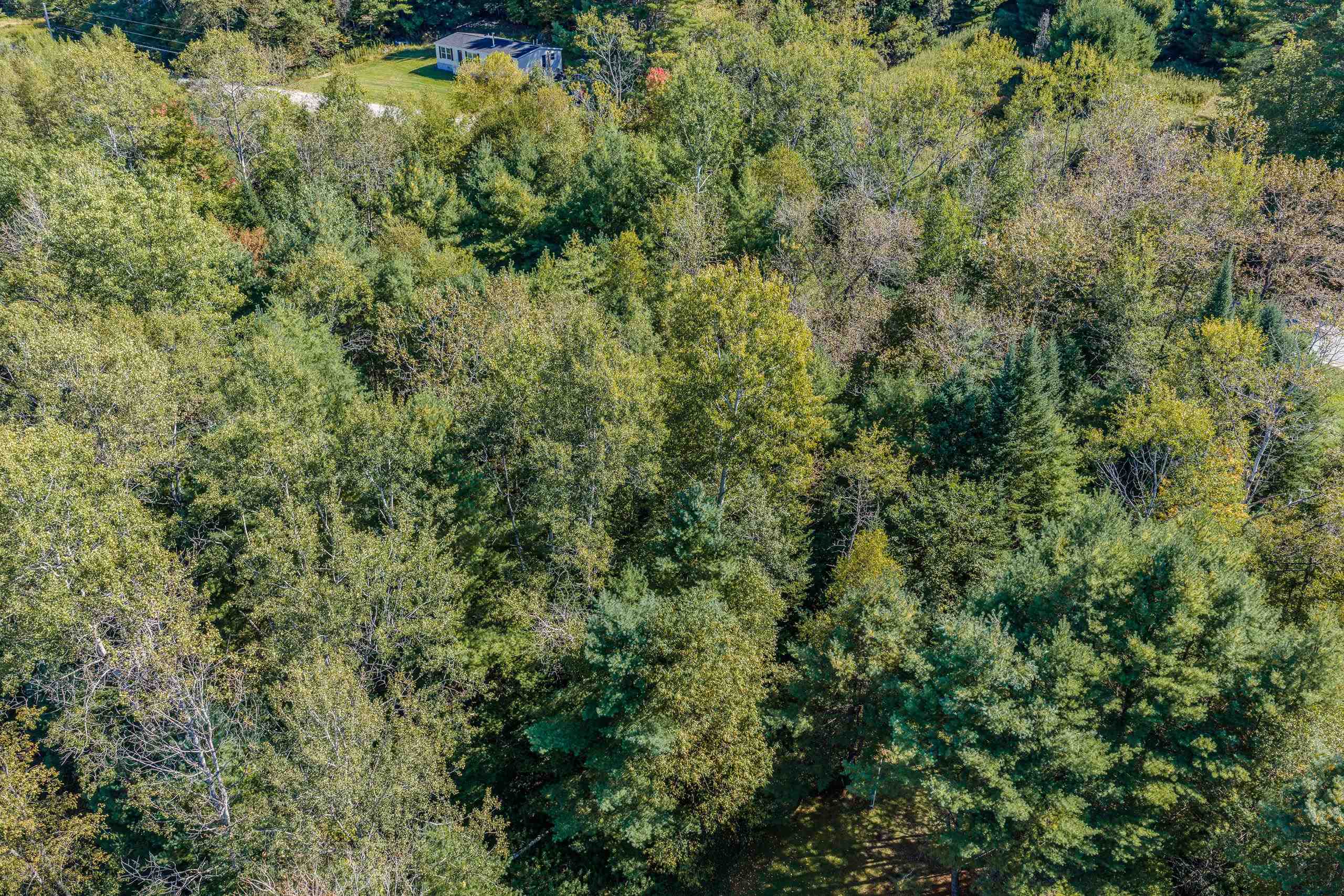 Mt Eustis Road, Unit R33009000 Lisbon, NH 03585 - Photo 36 of 39 Gallery Image 36