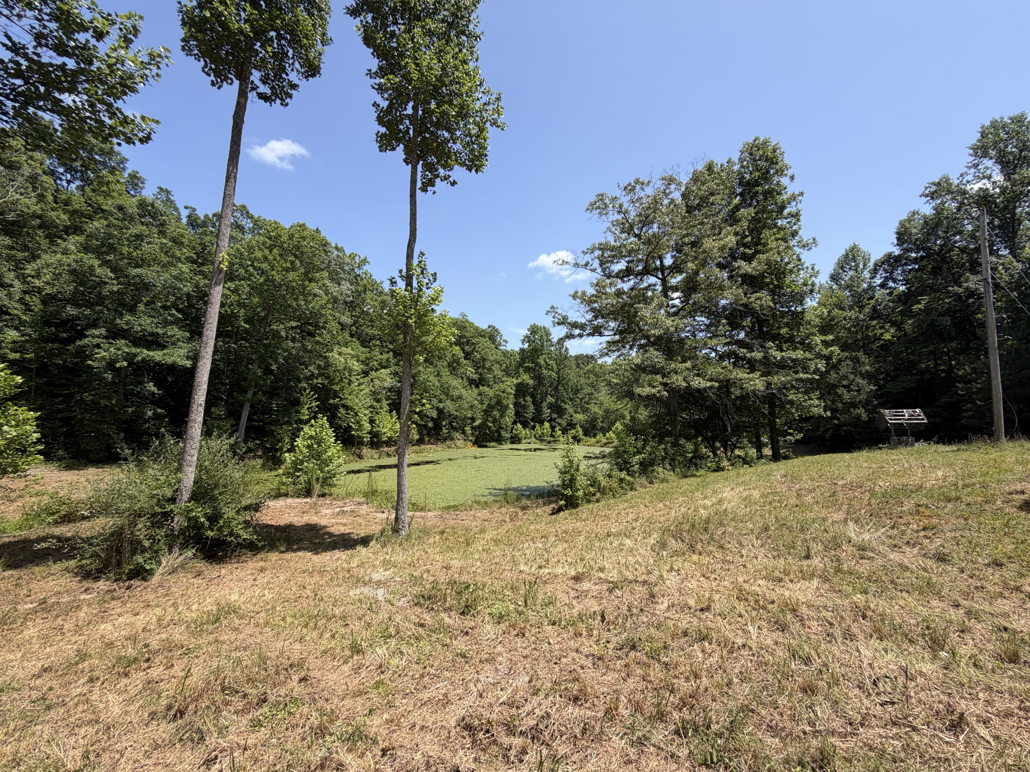 215 Bar Bee Road Hohenwald, TN 38462 - Photo 26 of 51