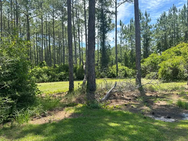 $58,900 | 102 Royal Tern Way, Carrabelle, FL 32322