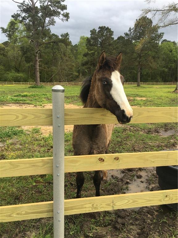 72120 Joseph Road Covington, LA 70433 - Photo 22 of 27