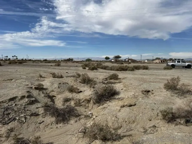 a view of a dry yard with trees