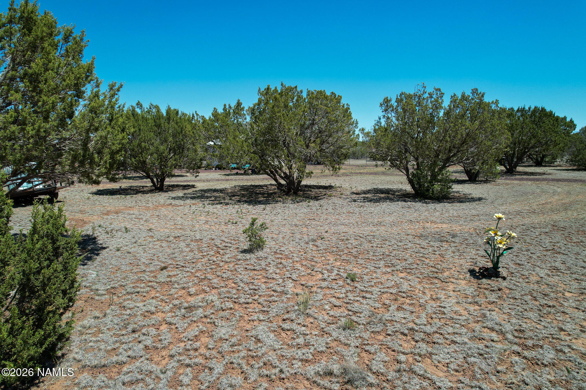 7543 North Red Lake Road, Unit 218 Williams, AZ 86046 - Photo 17 of 38 16
