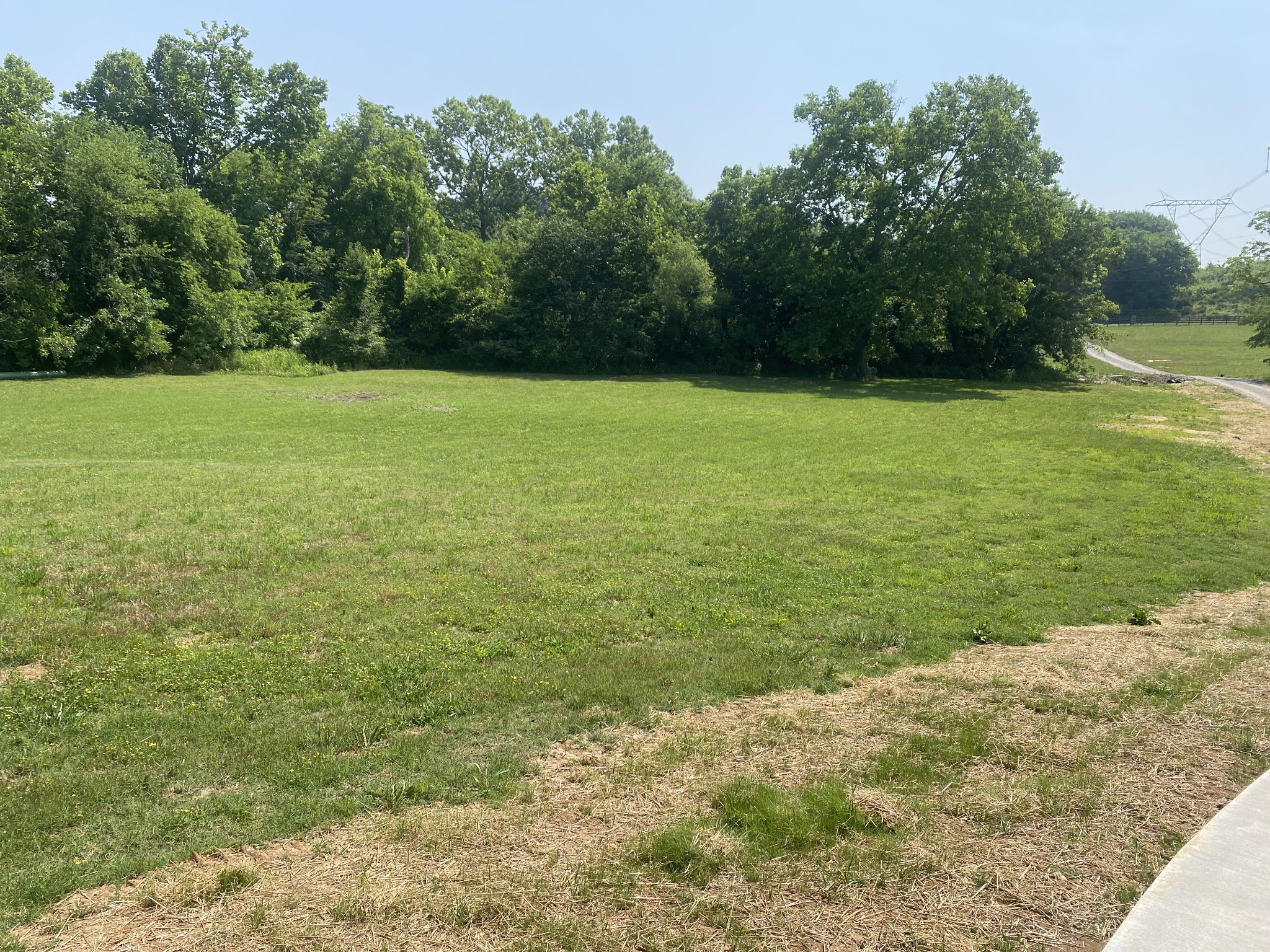1427 Cliff Amos Road Spring Hill, TN 37174 - Photo 52 of 52 a view of a field with an trees in the background