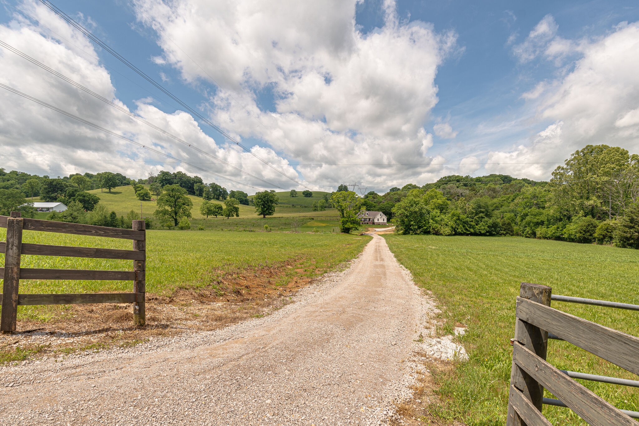 1427 Cliff Amos Road Spring Hill, TN 37174 - Photo 8 of 52 a view of a lake with a big yard
