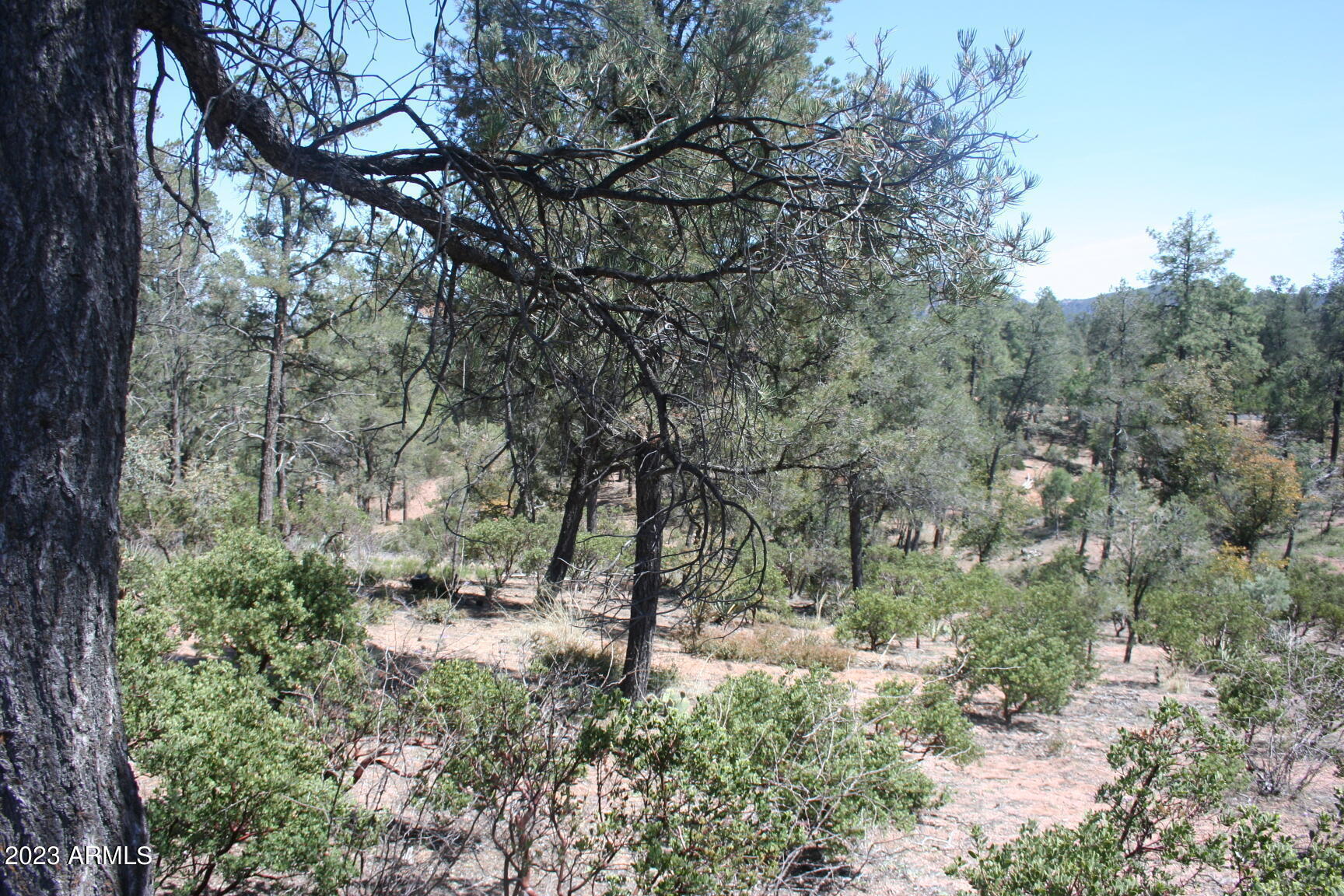 409 South Rim Club Drive, Unit 84 Payson, AZ 85541 - Photo 8 of 12 338F0C57-22AF-48B5-B3FB-CD0CBC969684