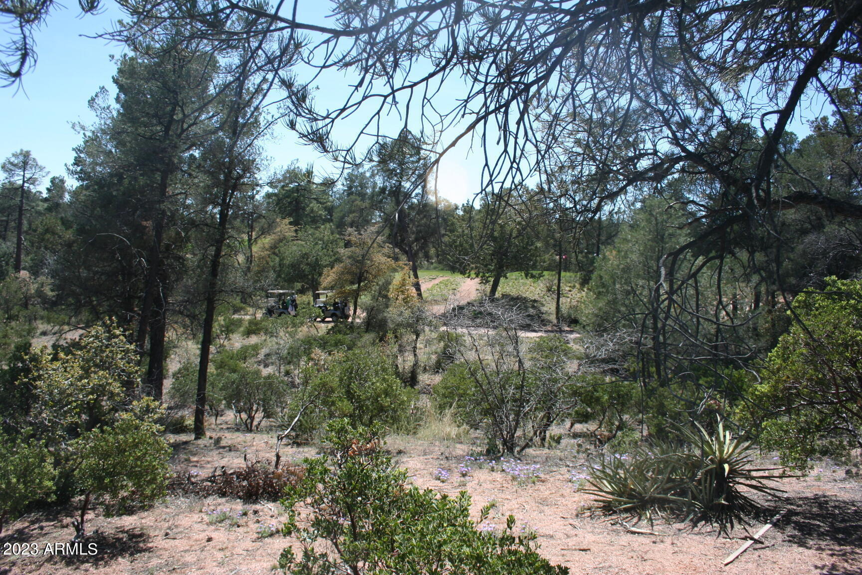 409 South Rim Club Drive, Unit 84 Payson, AZ 85541 - Photo 9 of 12 4071A72C-E785-4E62-B871-FFD6EEA50CFE