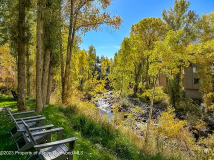 a view of a yard with plants