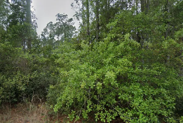 $14,000 | 107 Glenside Street, Georgetown, FL 32139