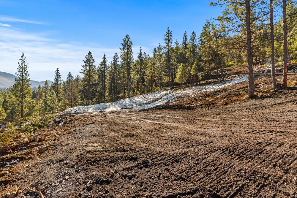 0 Simpson Canyon Road, Unit 15 Klamath Falls, OR 97601 - Photo 12 of 37 a view of a forest with trees