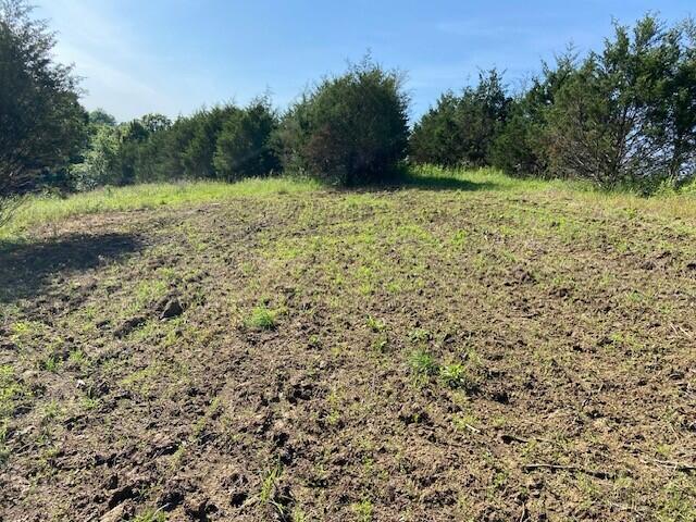 0 Mann Road Mount Olivet, KY 41064 - Photo 26 of 46