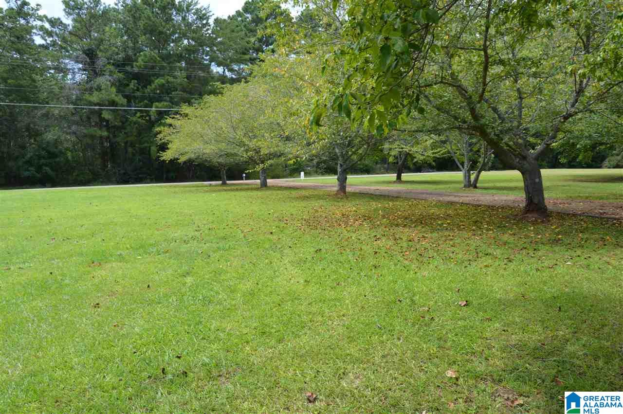 843 Mountain View Road Cordova, AL 35550 - Photo 36 of 37
