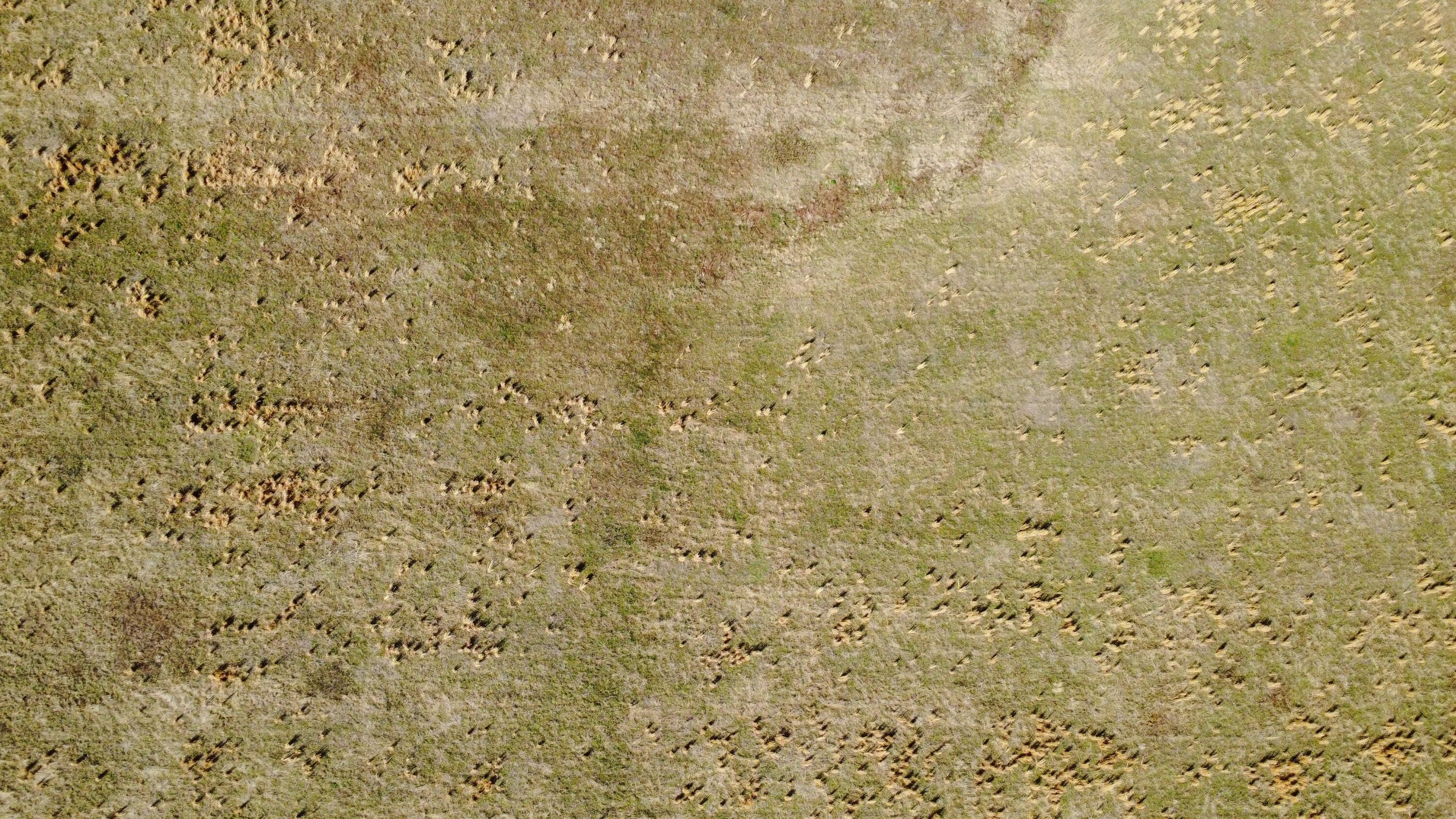 0 South 1575 Road Nevada, MO 64772 - Photo 7 of 10 DJI_0088