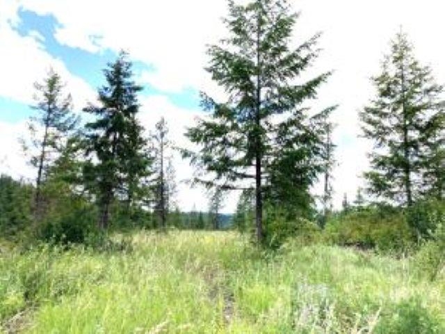 U U Buffy Lane Inchelium, WA 99138 - Photo 13 of 14