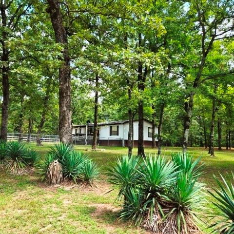 108 Elm Street Mabank, TX 75156 - Photo 3 of 22 a view of a backyard with plants and a patio