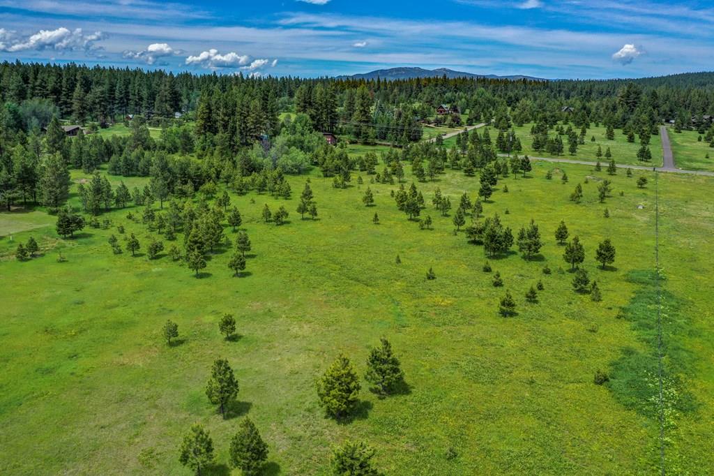 1217 Elo Road McCall, ID 83638 - Photo 9 of 16