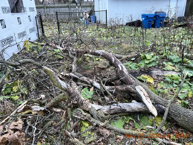 a house with trees in front of it