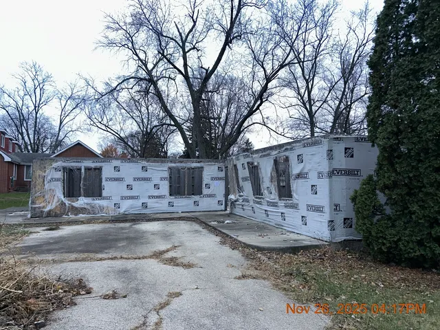 a view of a yard with trees