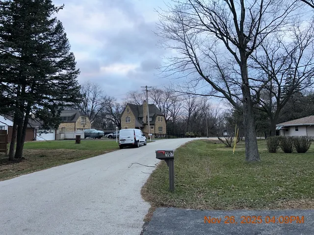 a view of a park that has a large tree