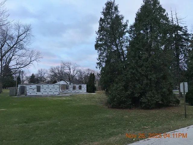 a view of a park with large trees