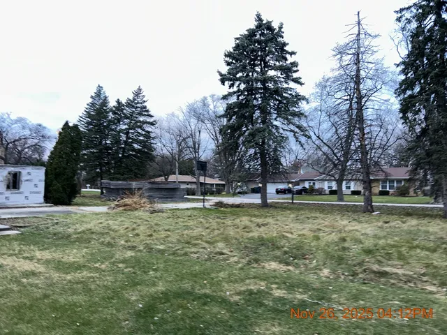 a view of a park with large trees