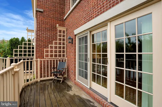 a view of a garden with plants