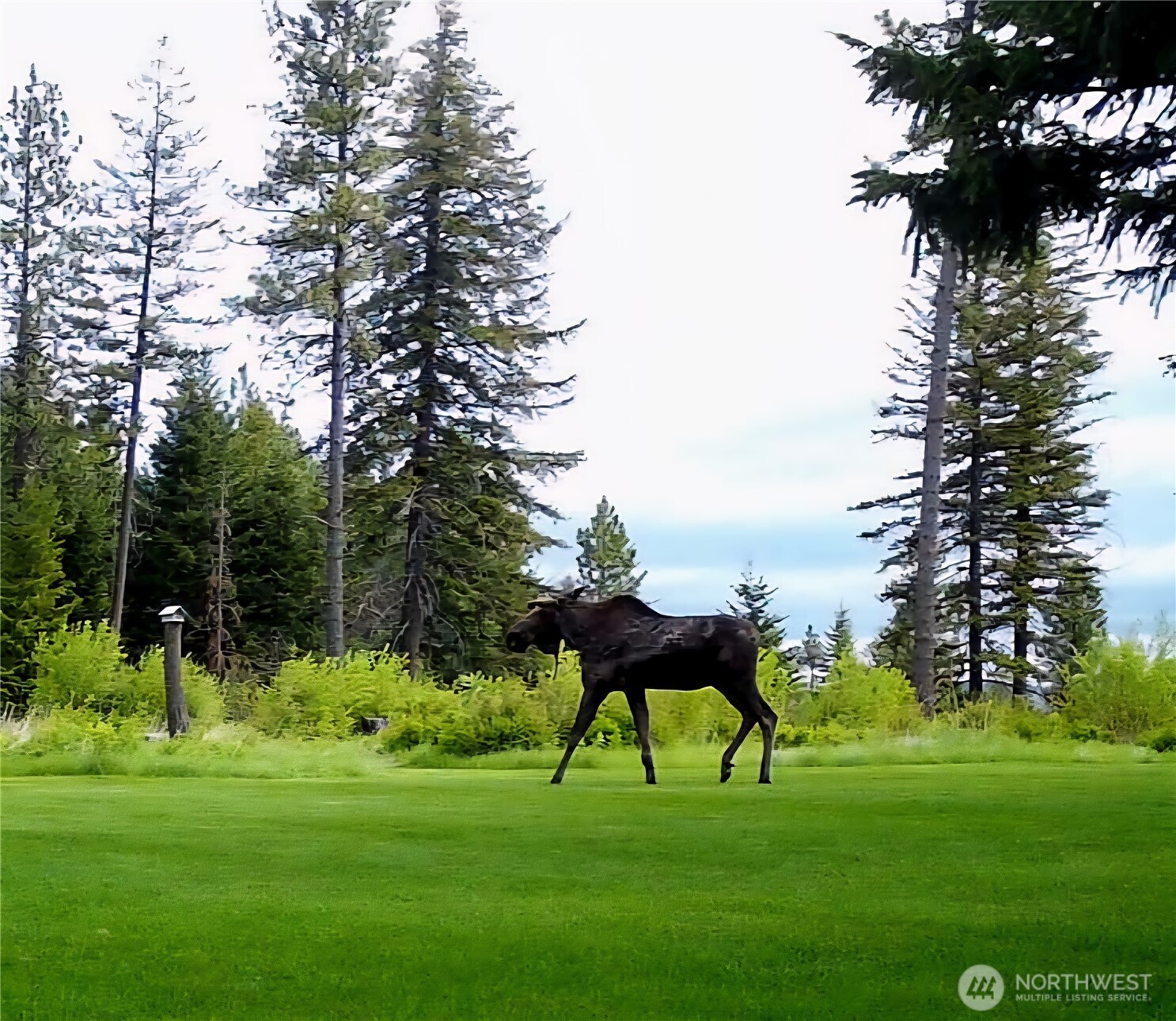 1335 Payne Hollow Road Dayton, WA 99328 - Photo 6 of 28