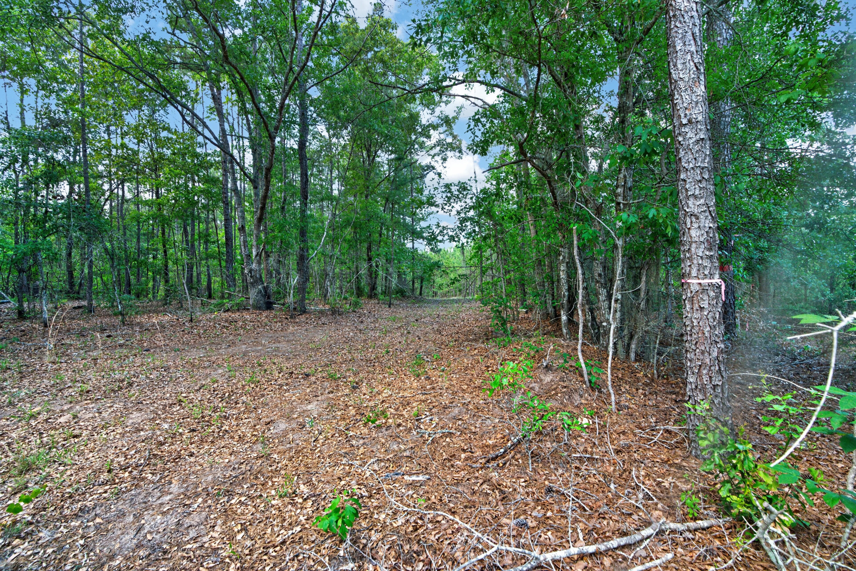 5120 North Brewington Road, Unit 10 Alcolu, SC 29001 - Photo 6 of 40 DSC09220