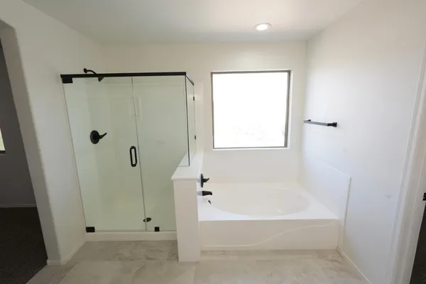 a bathroom with a bathtub and a shower