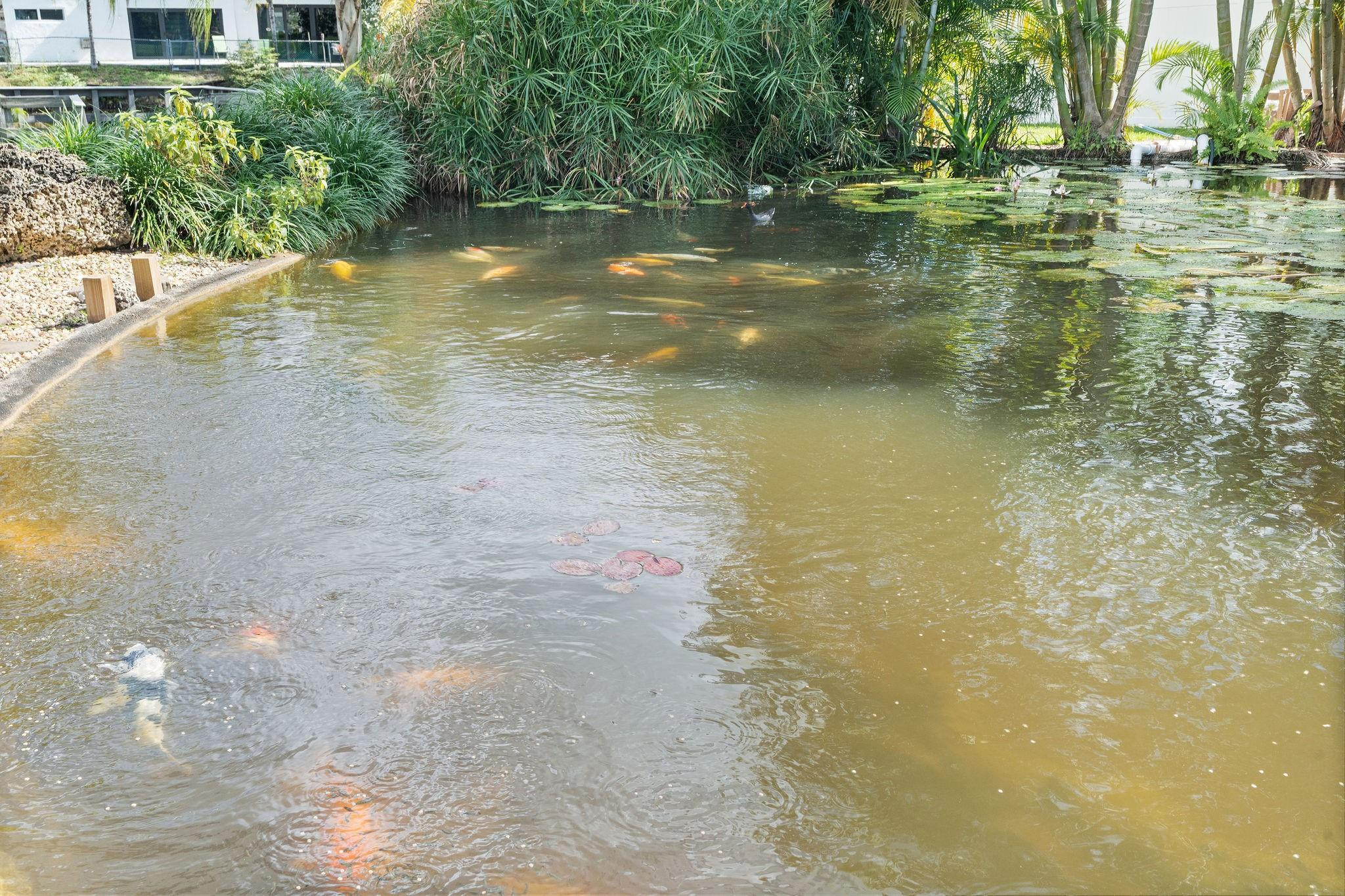 700 Old Nob Hill Road Plantation, FL 33324 - Photo 41 of 57 Photo 41