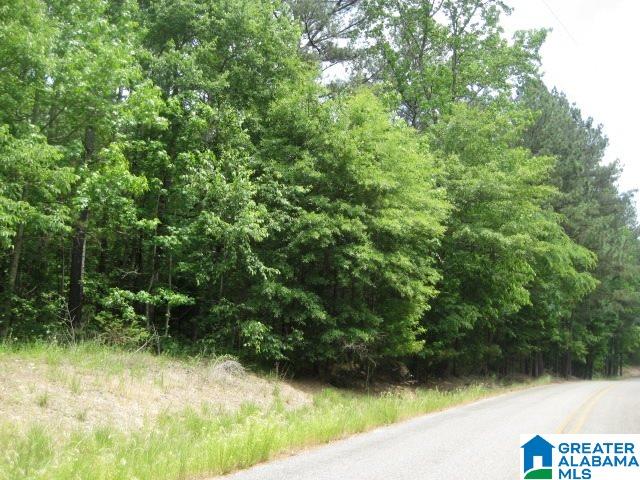 0 Sulphur Springs Road, Unit 10 ACRES Lincoln, AL 35096 - Photo 10 of 32