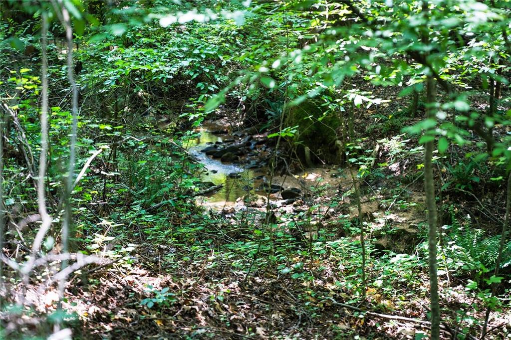 13020 Arnold Mill Road Milton, GA 30075 - Photo 5 of 30 Gallery Image 5