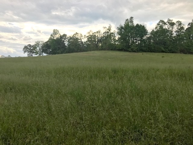 1027 Mills Darden Road Lexington, TN 38351 - Photo 3 of 6 Gallery Image 3