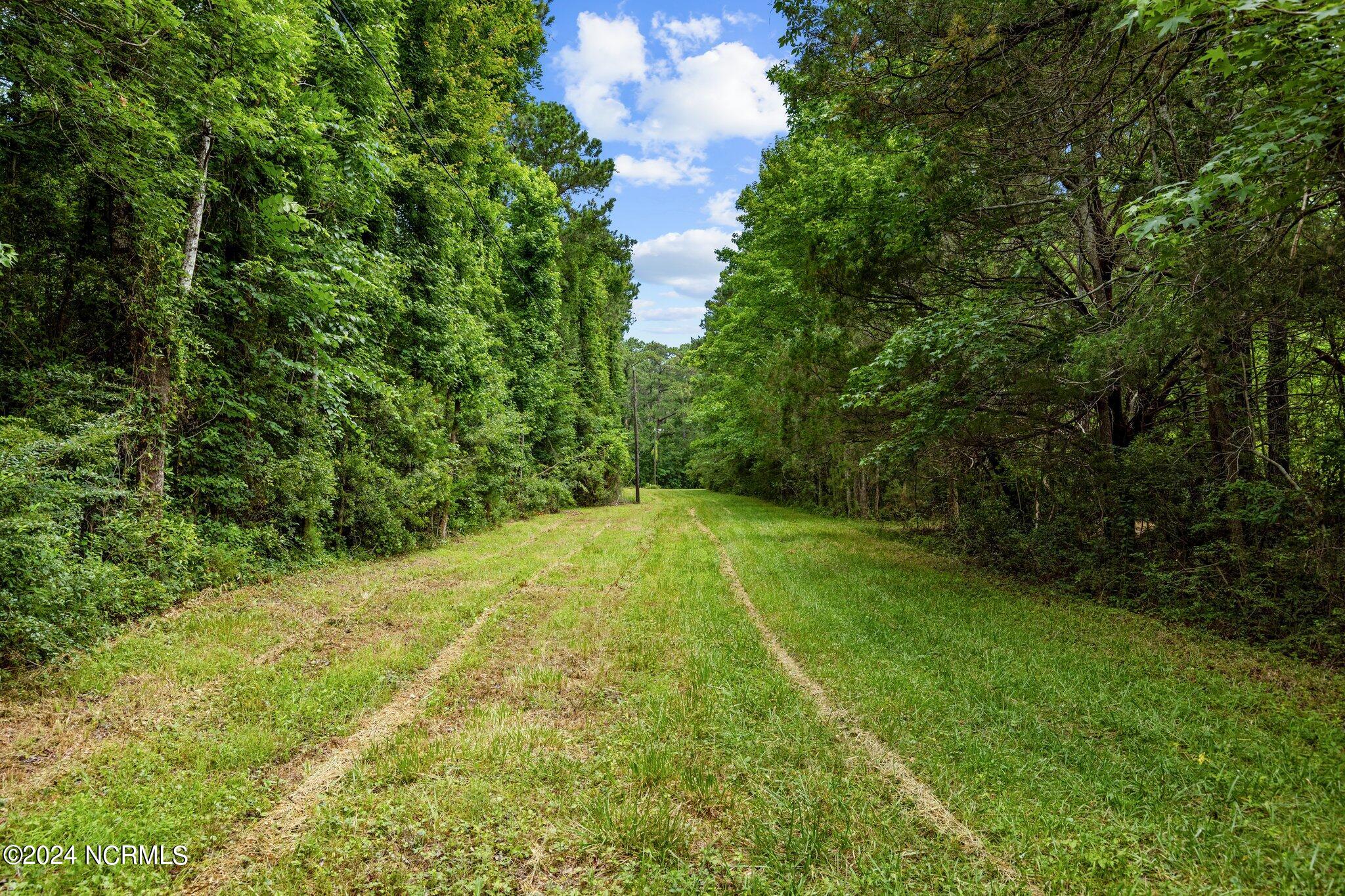 1-2 Landing Road Beaufort, NC 28516 - Photo 3 of 12 Tract 1, wooded