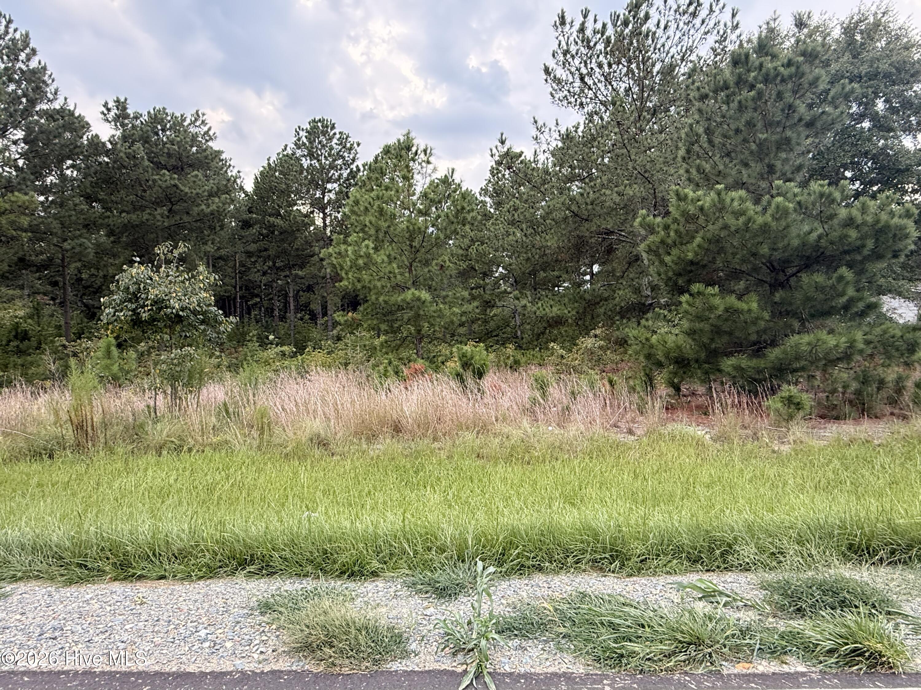 1284 Windblow Road Jackson Springs, NC 27281 - Photo 1 of 6 Gallery Image 1