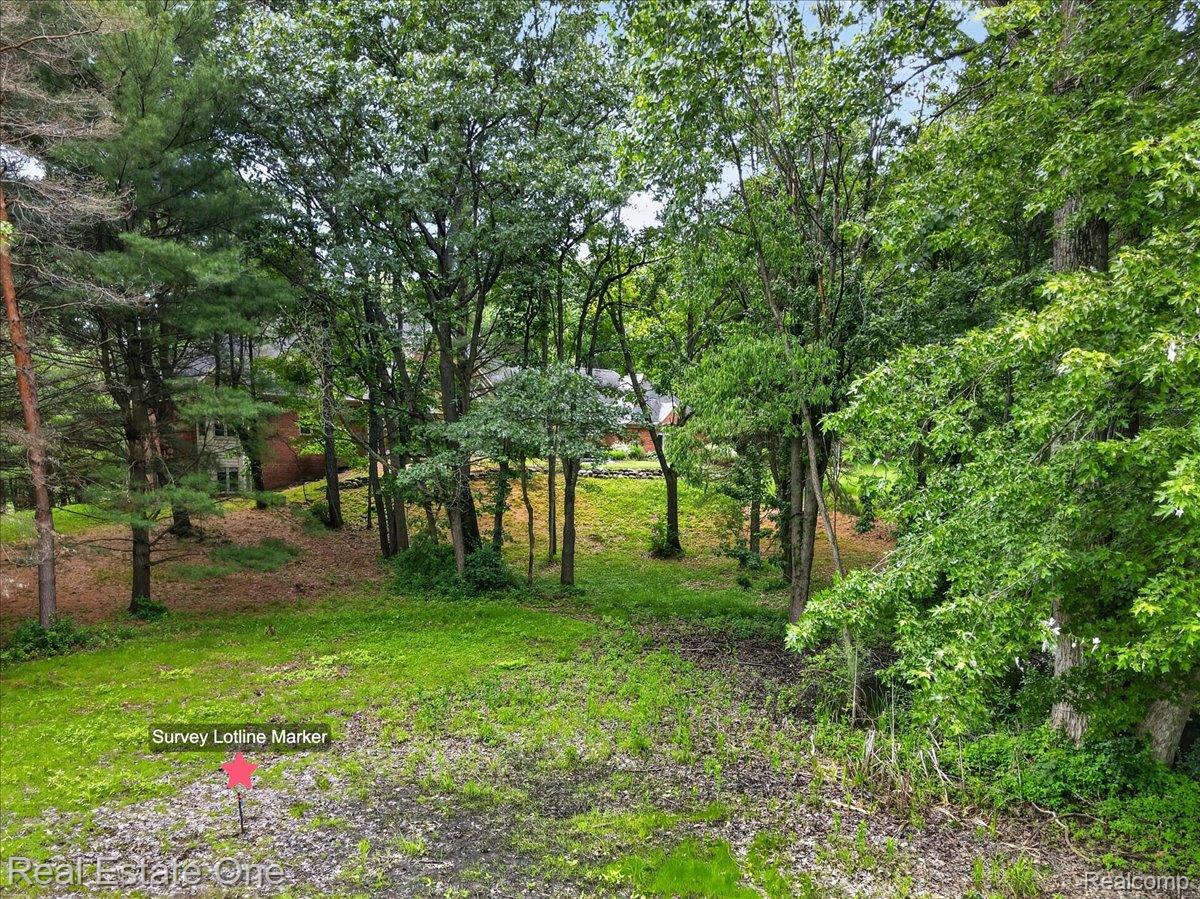425 Courtney Road Leonard, MI 48367 - Photo 88 of 89 Wooded lot featuring mature trees, a gently sloping landscape, and partial visibility of a neighboring brick-sided residence