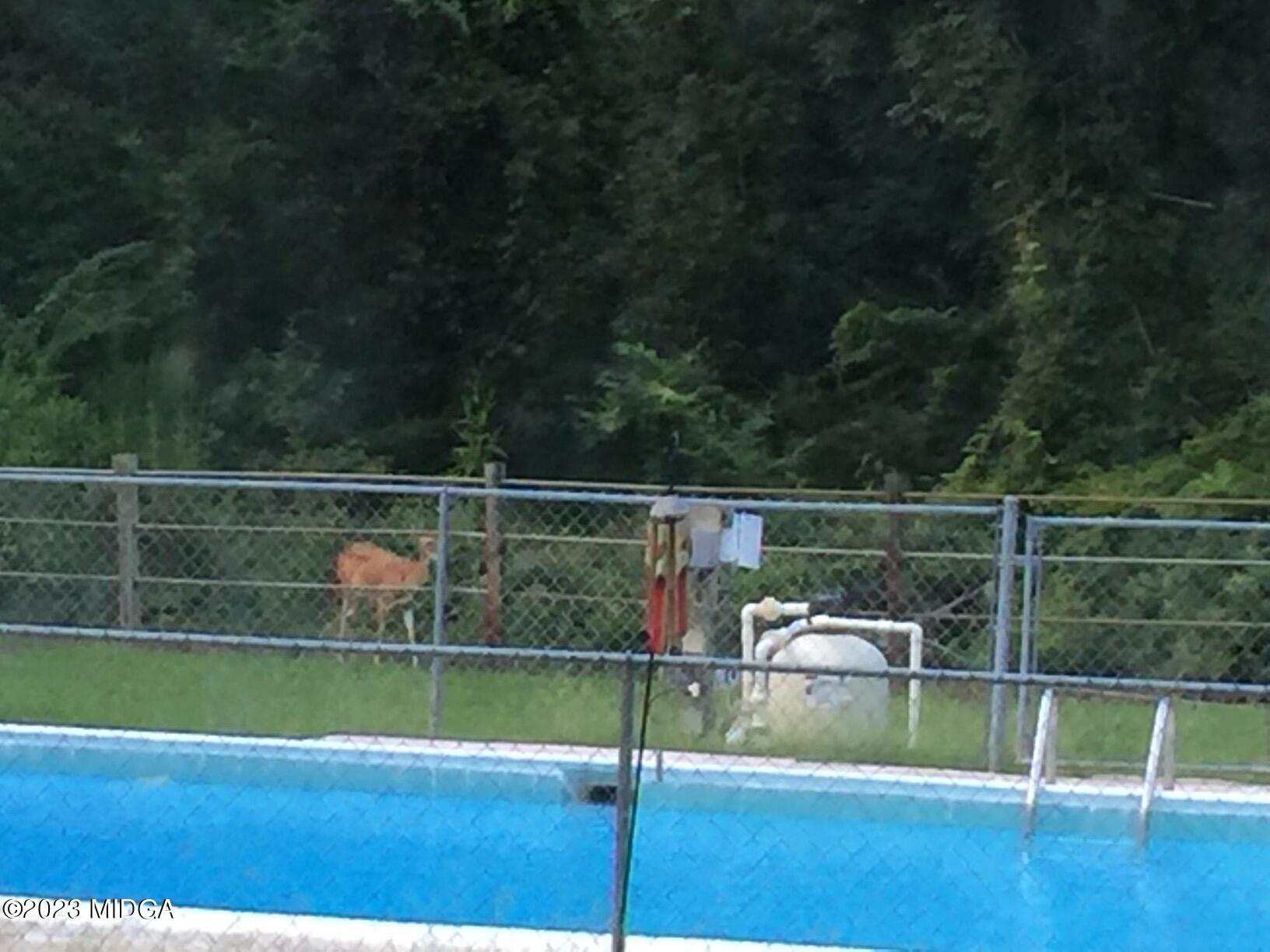 6285 Forsyth Road Macon, GA 31210 - Photo 3 of 24 a view of swimming pool with a back yard