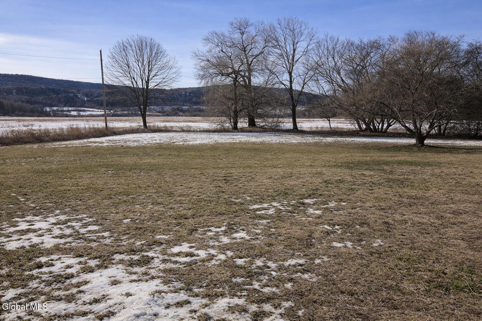 175 Main Street Schoharie, NY 12157 - Photo 30 of 32 Back yard