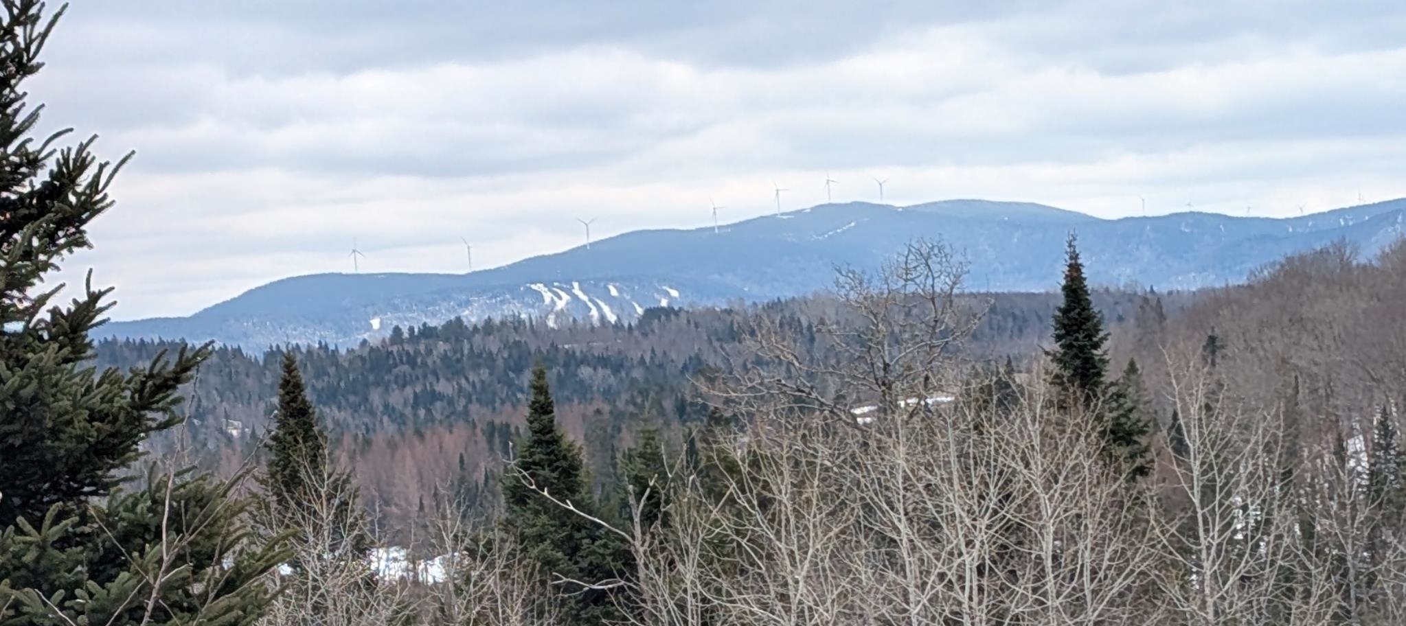 0 Bear Rock Road Stewartstown, NH 03576 - Photo 1 of 8