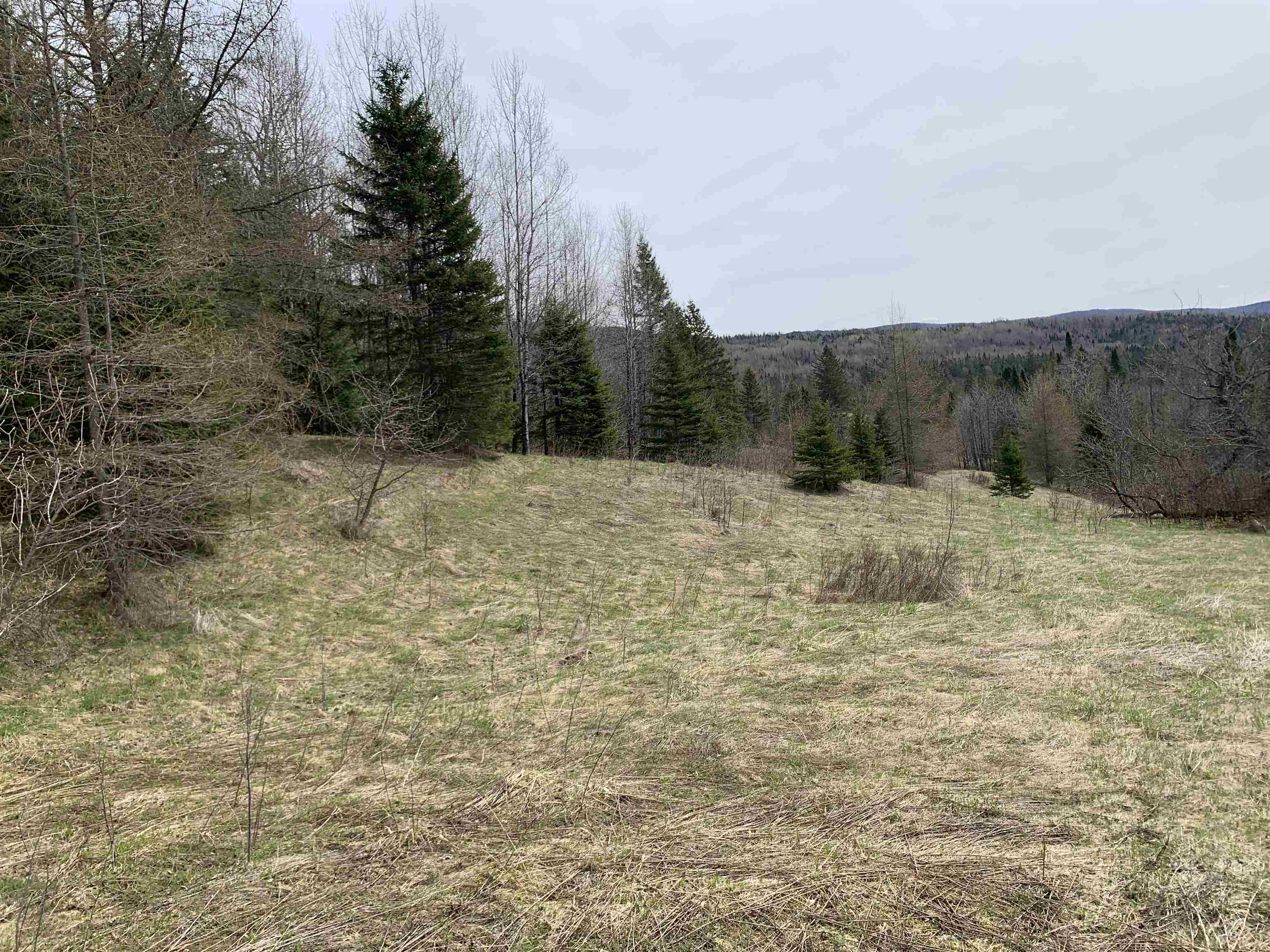 0 Bear Rock Road Stewartstown, NH 03576 - Photo 3 of 8