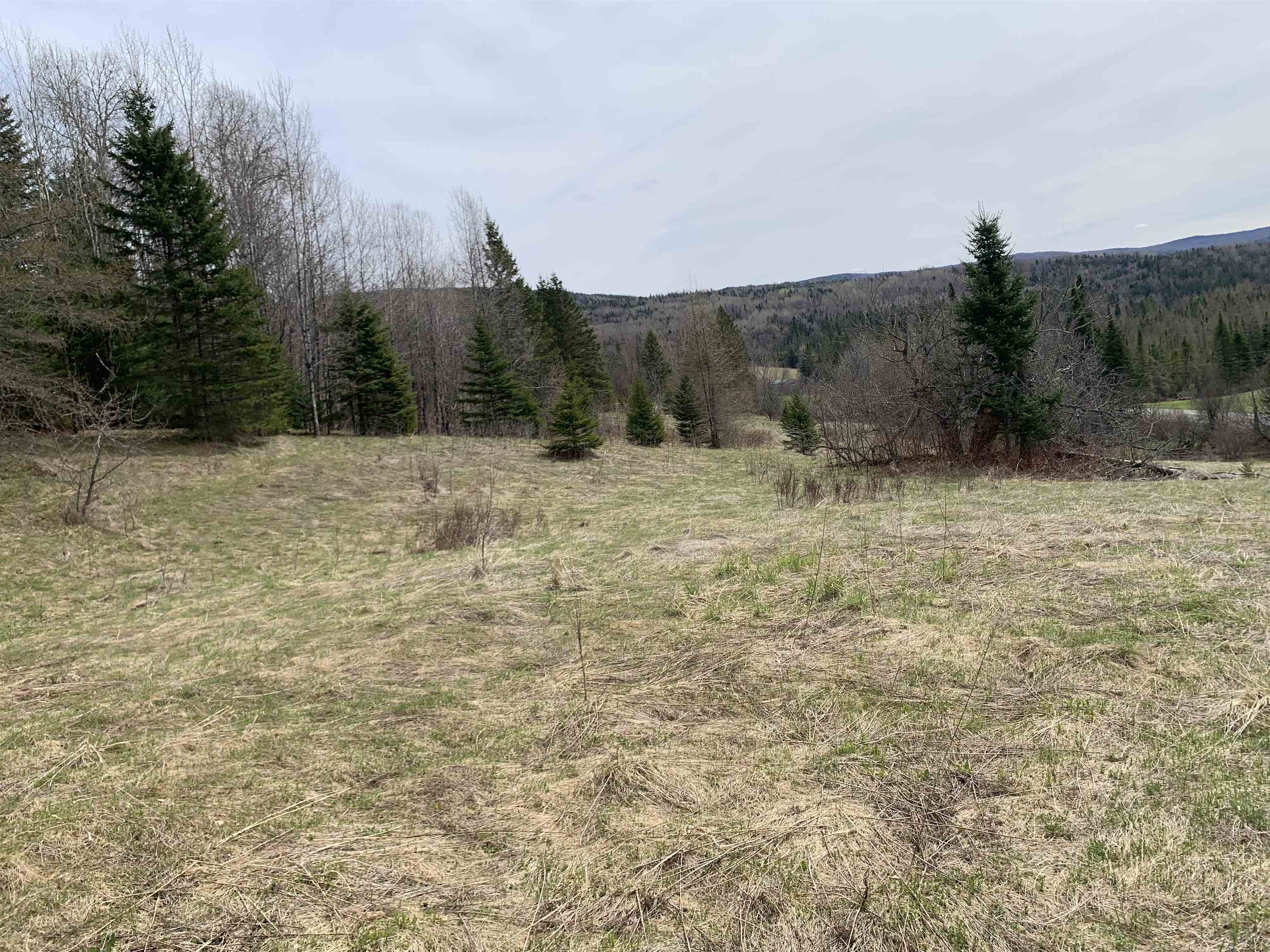 0 Bear Rock Road Stewartstown, NH 03576 - Photo 4 of 8