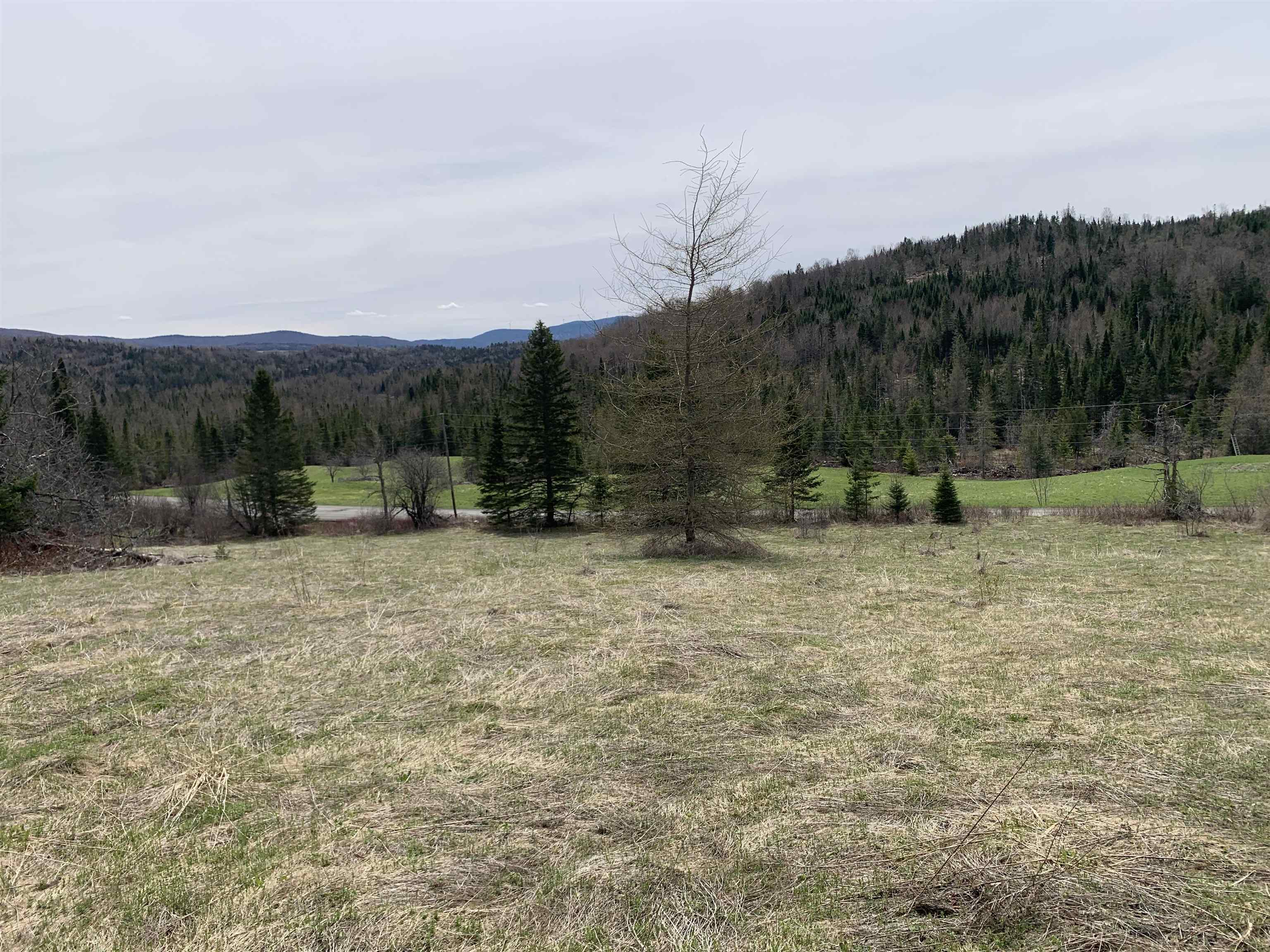 0 Bear Rock Road Stewartstown, NH 03576 - Photo 5 of 8